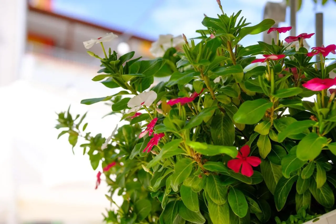Hotel Vila Conte Veli Losinj